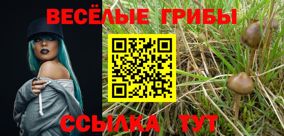 Мариинск  Псилоцибиновые грибы MAGIC MUSHROOMS  Вход с VPN 